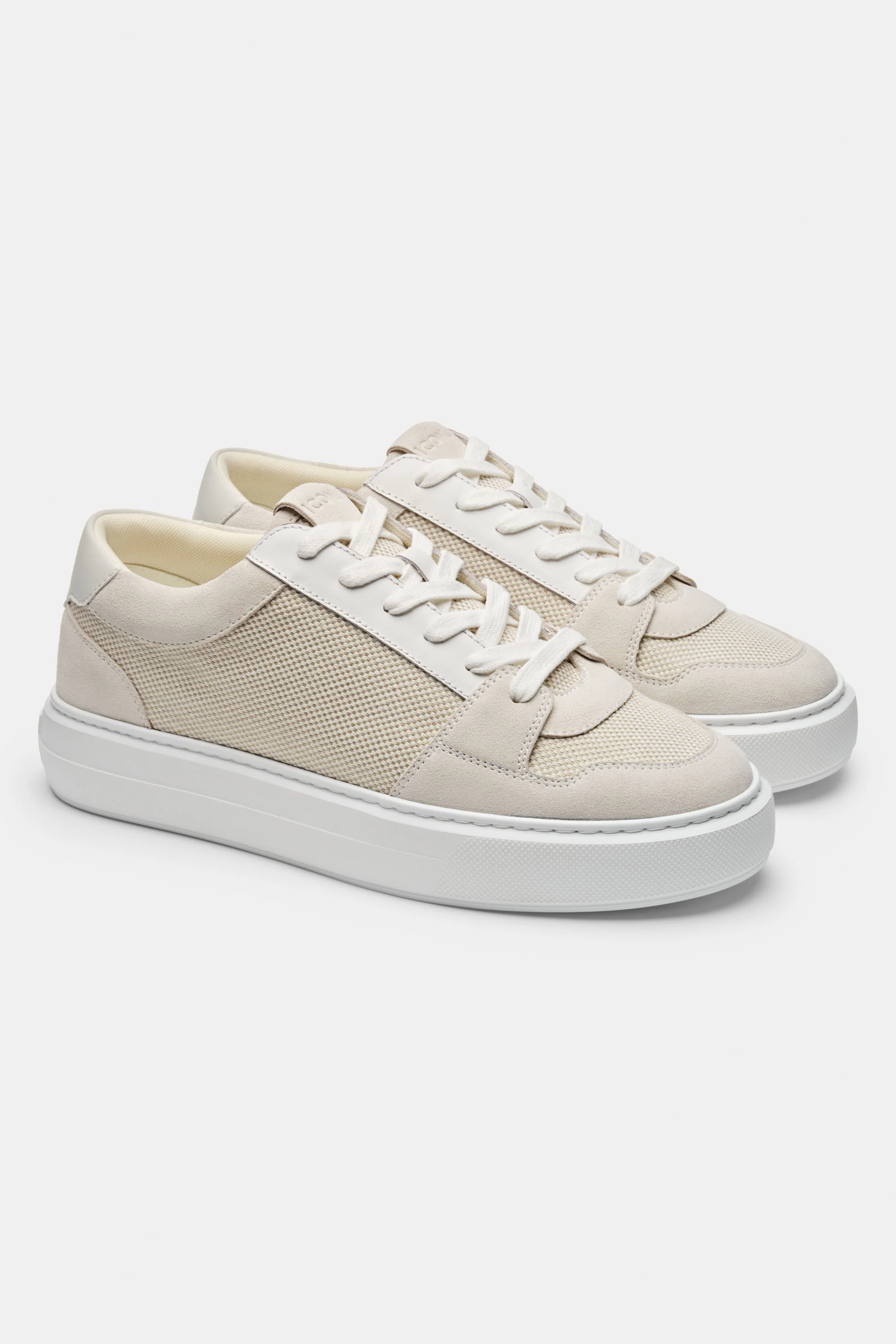 THE PAVIO TRAINER - Image 8